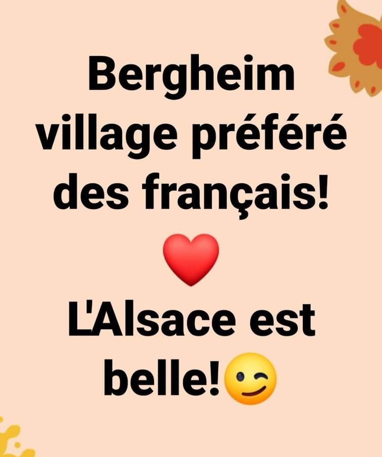 La Maison Des Tanneurs Ribeauvillé Eksteriør bilde